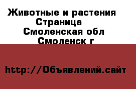  Животные и растения - Страница 2 . Смоленская обл.,Смоленск г.